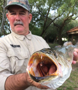 Reeling in the big ones with Captain Grayson.
